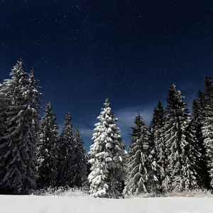 农村肥老太ⅹ❌熟女
