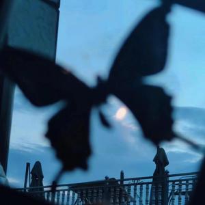 农村肥老太ⅹ❌熟女
