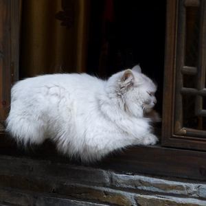 农村肥老太ⅹ❌熟女
